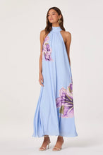 Load image into Gallery viewer, Nesta Maxi Dress
